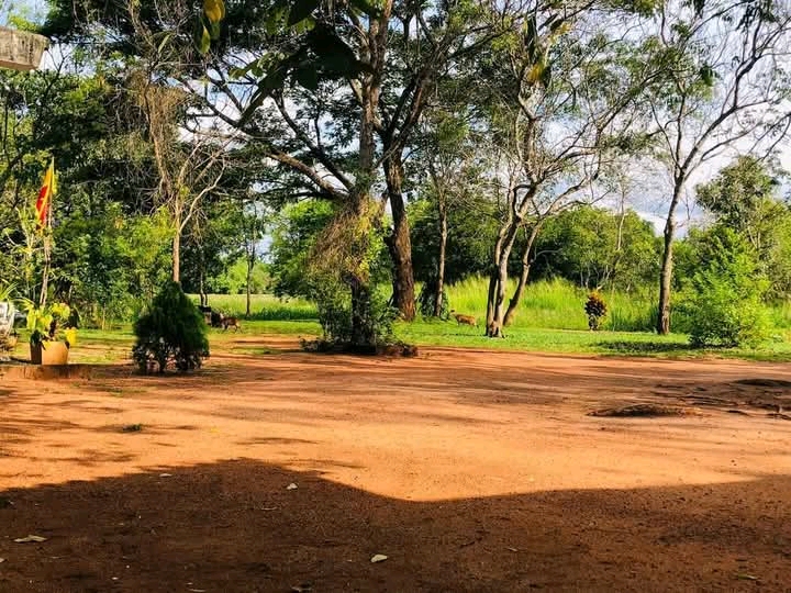 Residential Land for Sale in Anuradhapura