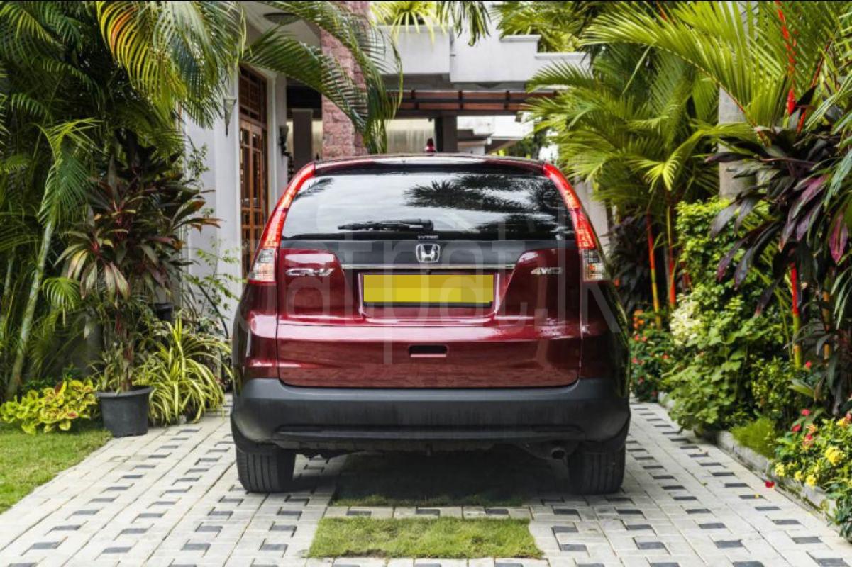 Advertisement image 3