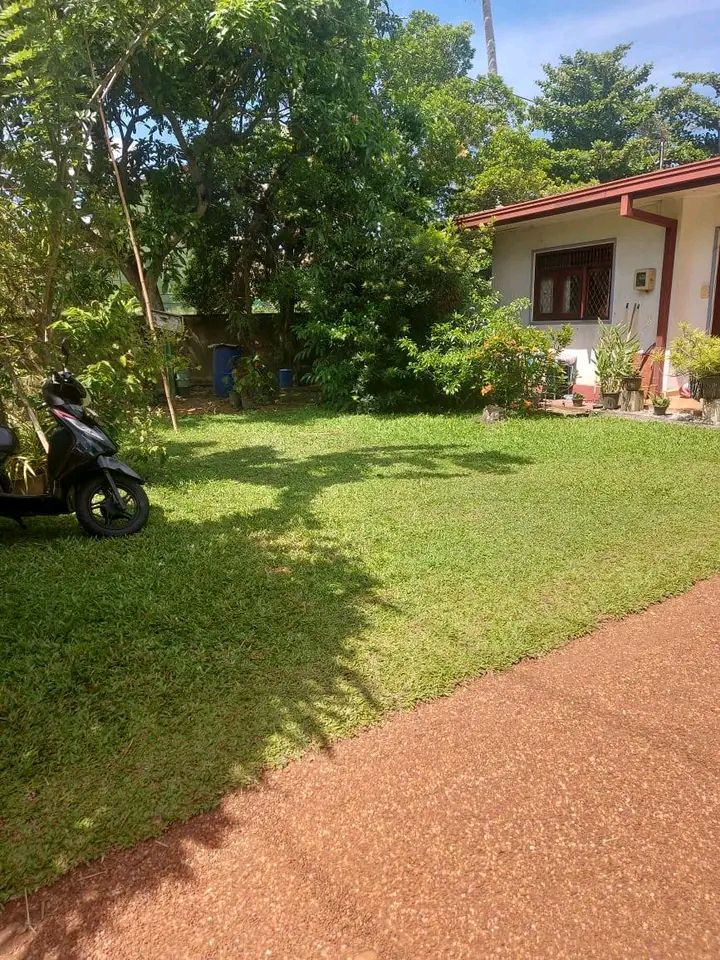 Residential Land for Sale in Boralesgamuwa