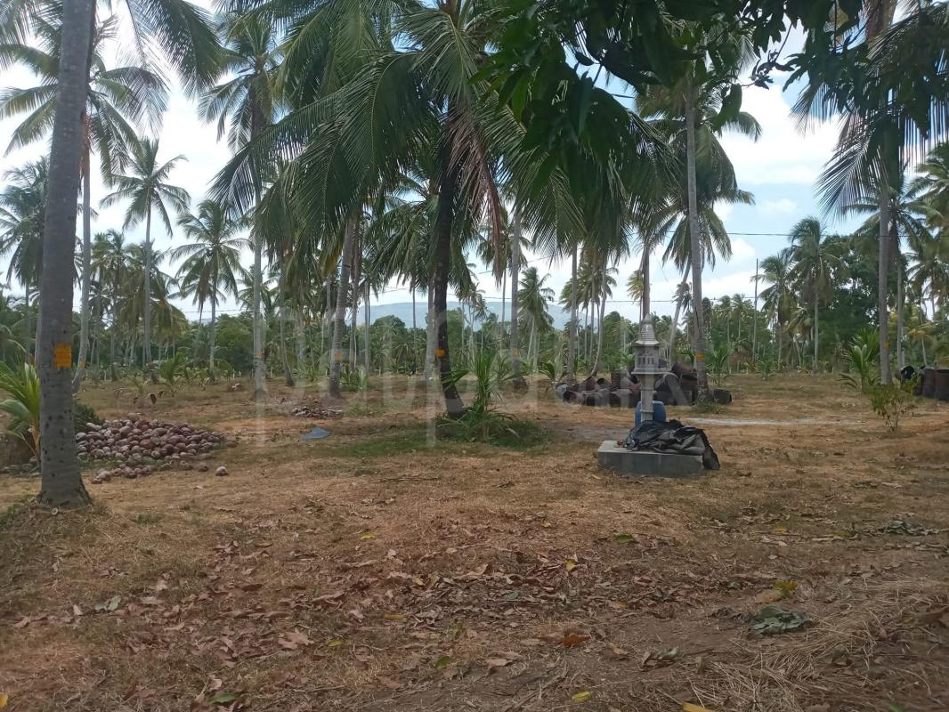 Agricultural Land for Sale in Kurunegala
