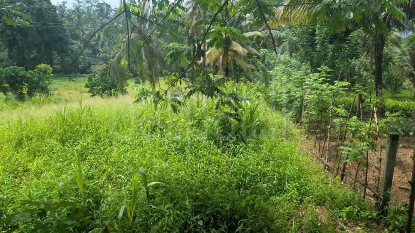 Residential Land for Sale in Kirillawala