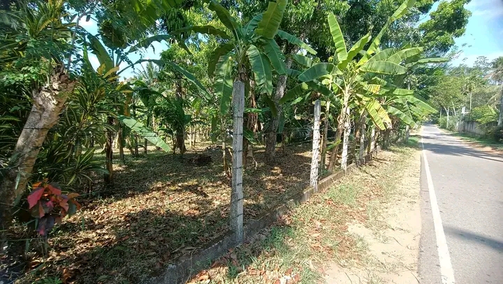 Commercial Land for Sale in Mawathagama