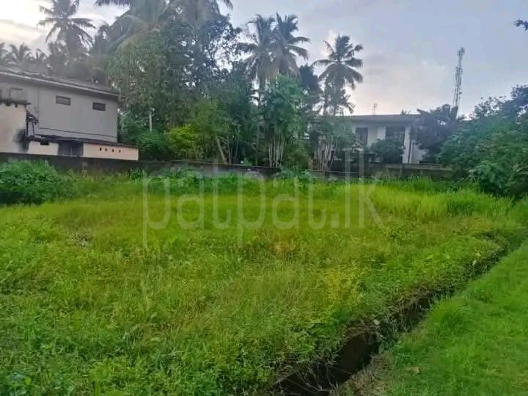 Residential Land for Sale in Panadura