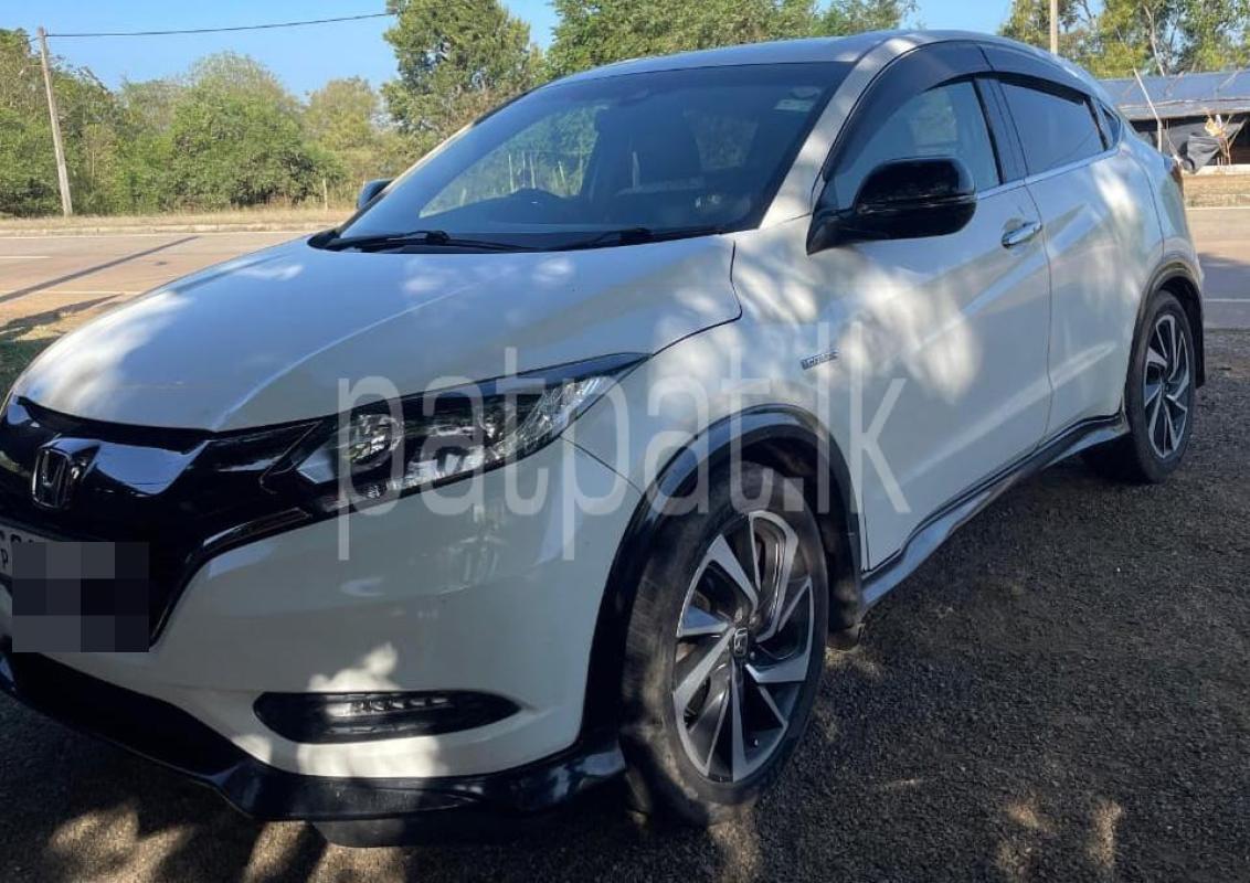 Advertisement image 4