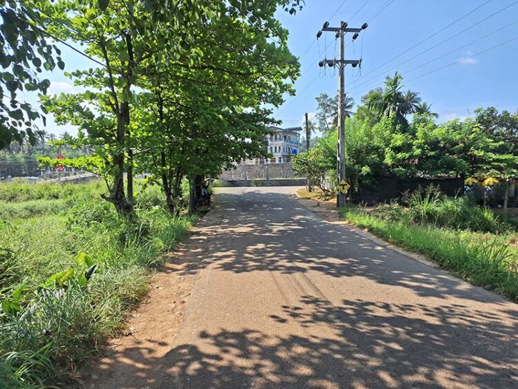 Agricultural Land for Sale in Nittambuwa