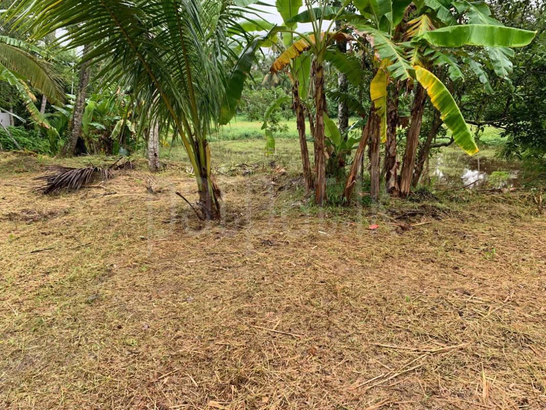 Residential Land for Sale in Kiribathgoda