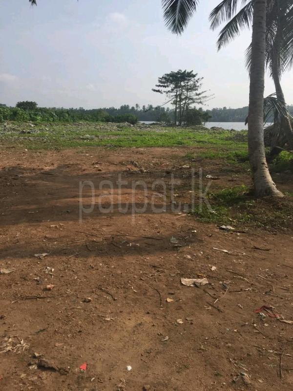 Residential Land for Sale in Wadduwa ads-image-1
