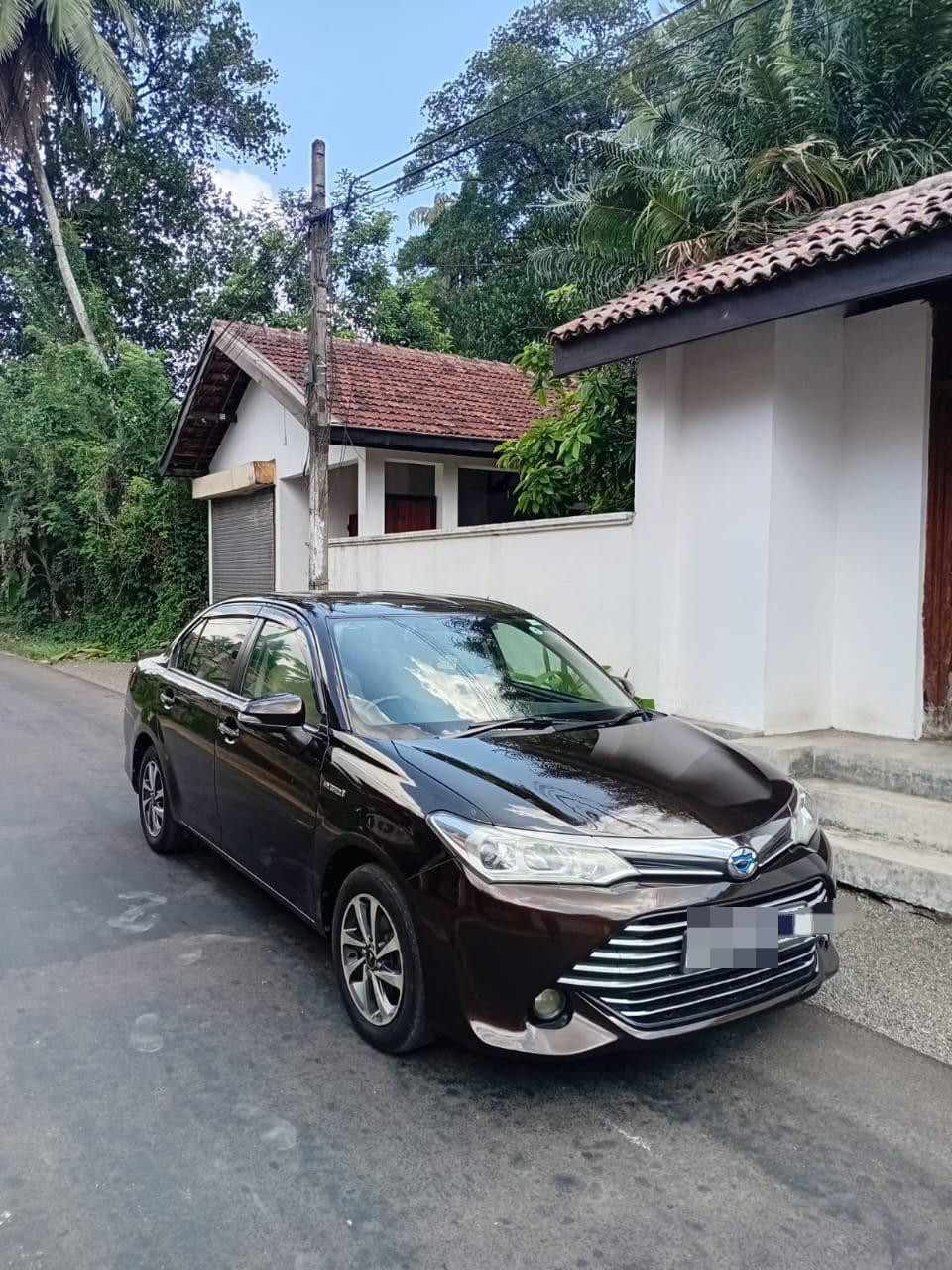 Toyota Axio 2015 ads-image-1