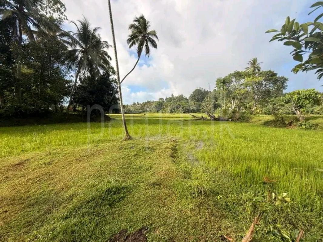Residential Land for Sale in Galle