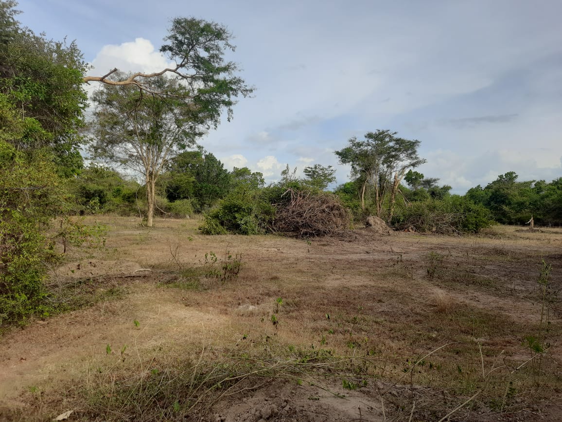 Agricultural Land for Sale in Galgamuwa