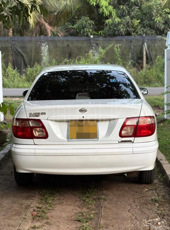 Nissan Bluebird 2003 - பயன்படுத்தப்பட்டது கார் sale in Sri Lanka - patpat.lk