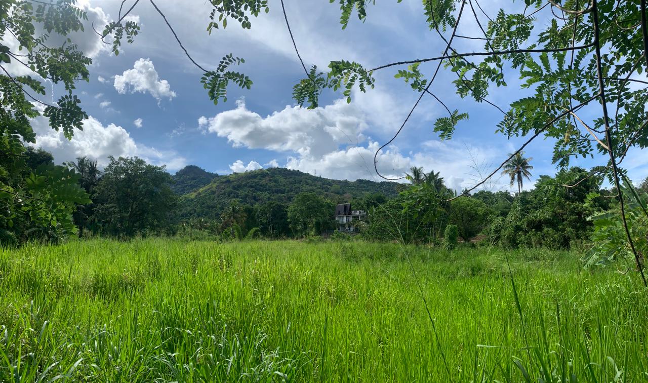 Residential Land for Sale in Matale
