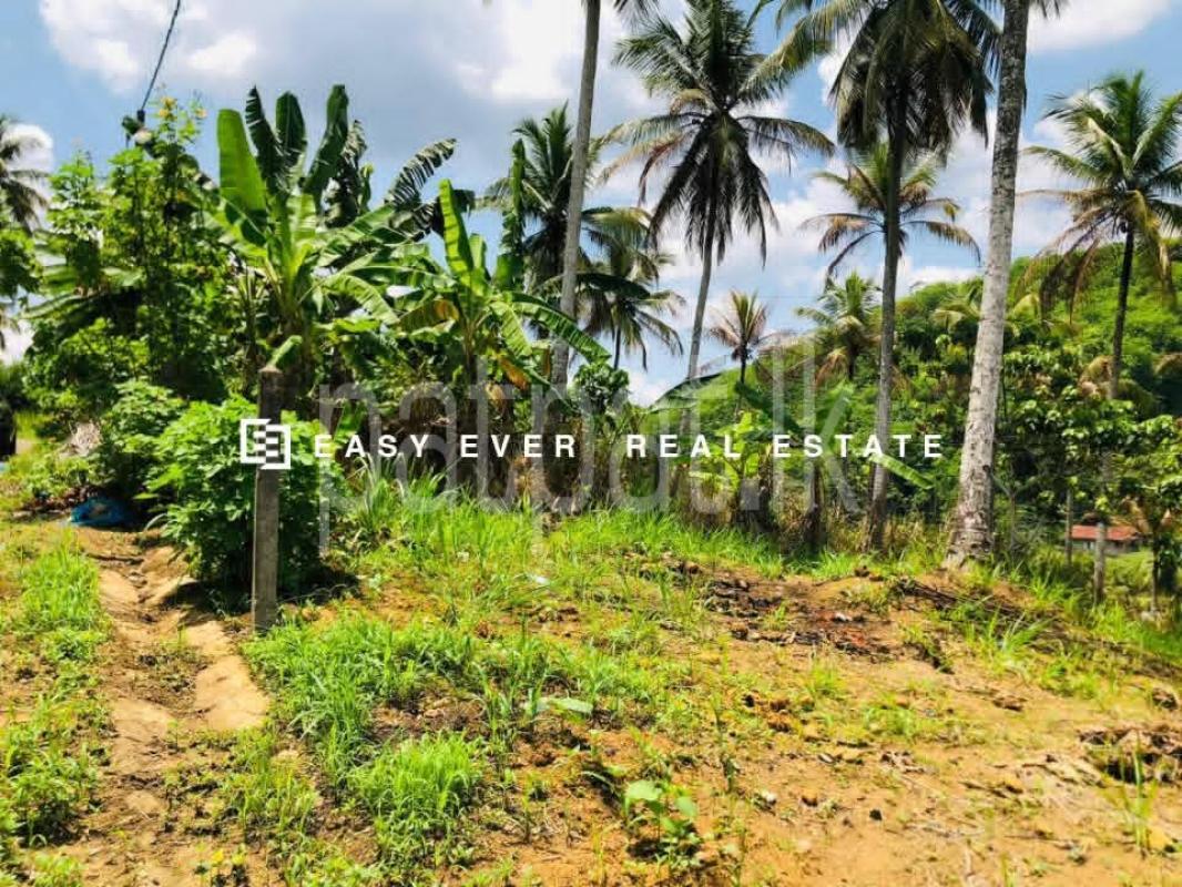 Residential Land for Sale in Warakapola