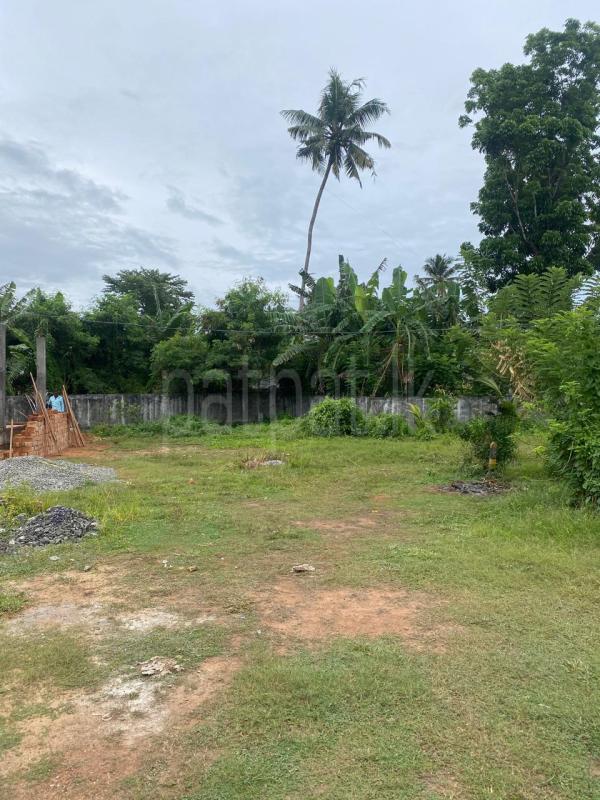 Residential Land for Sale in Rajagiriya ads-image-1