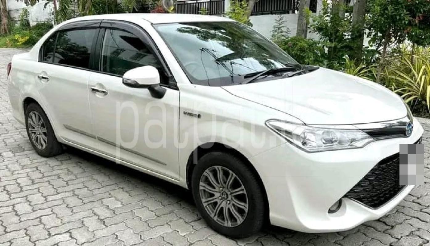 Advertisement image 3