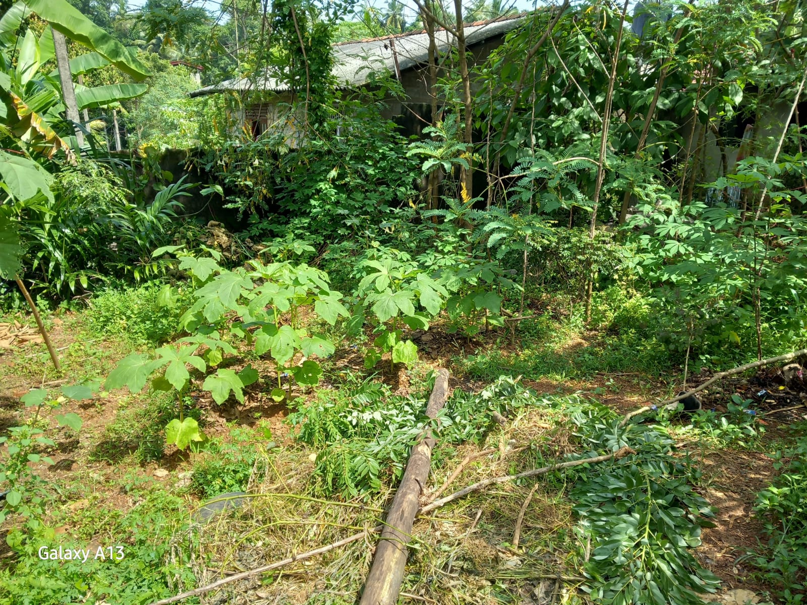 Residential Land for Sale in Ragama