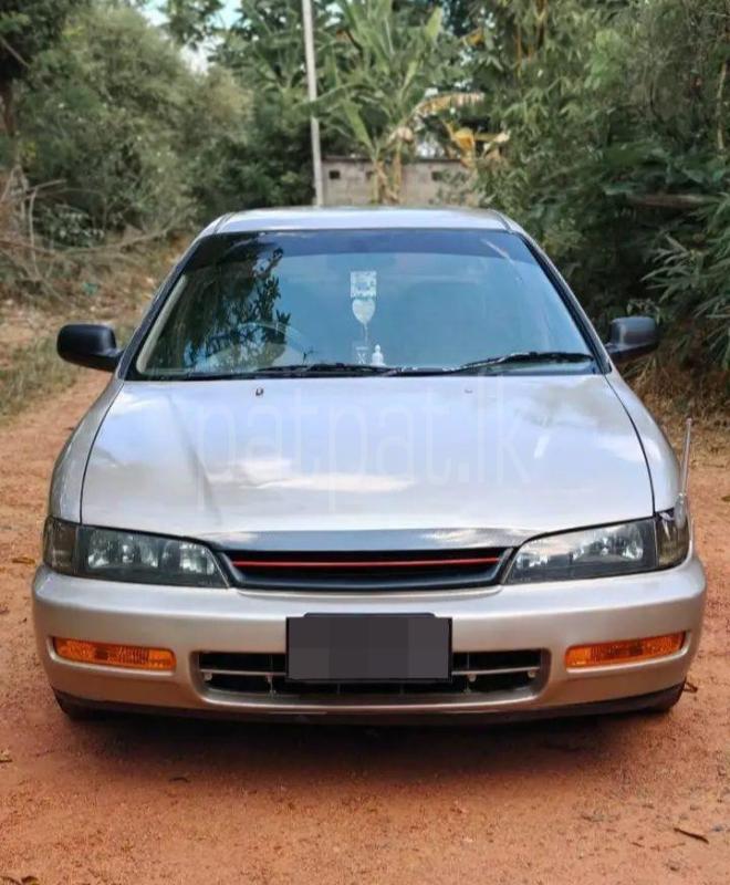 Advertisement image 3