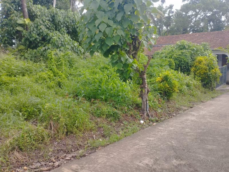 Residential Land for Sale in Pannipitiya