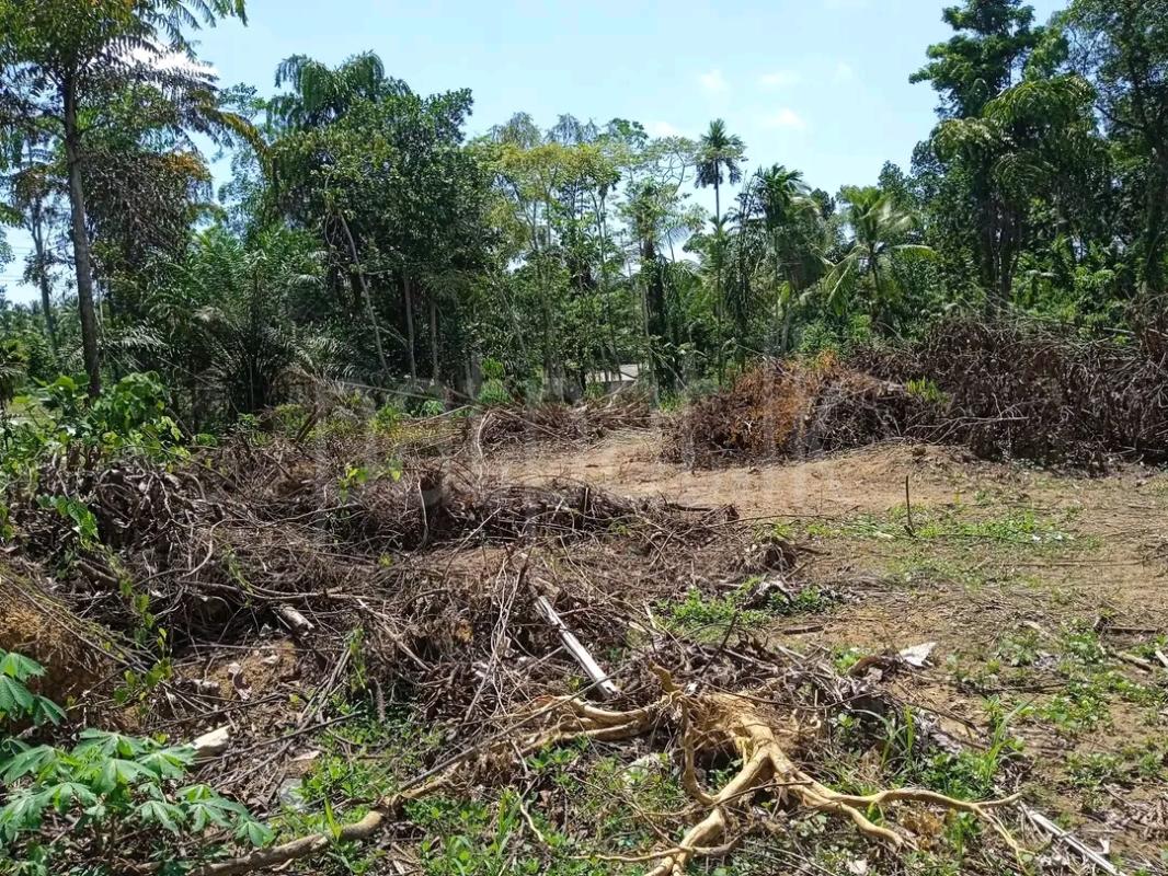 Agricultural Land for Sale in Mawathagama