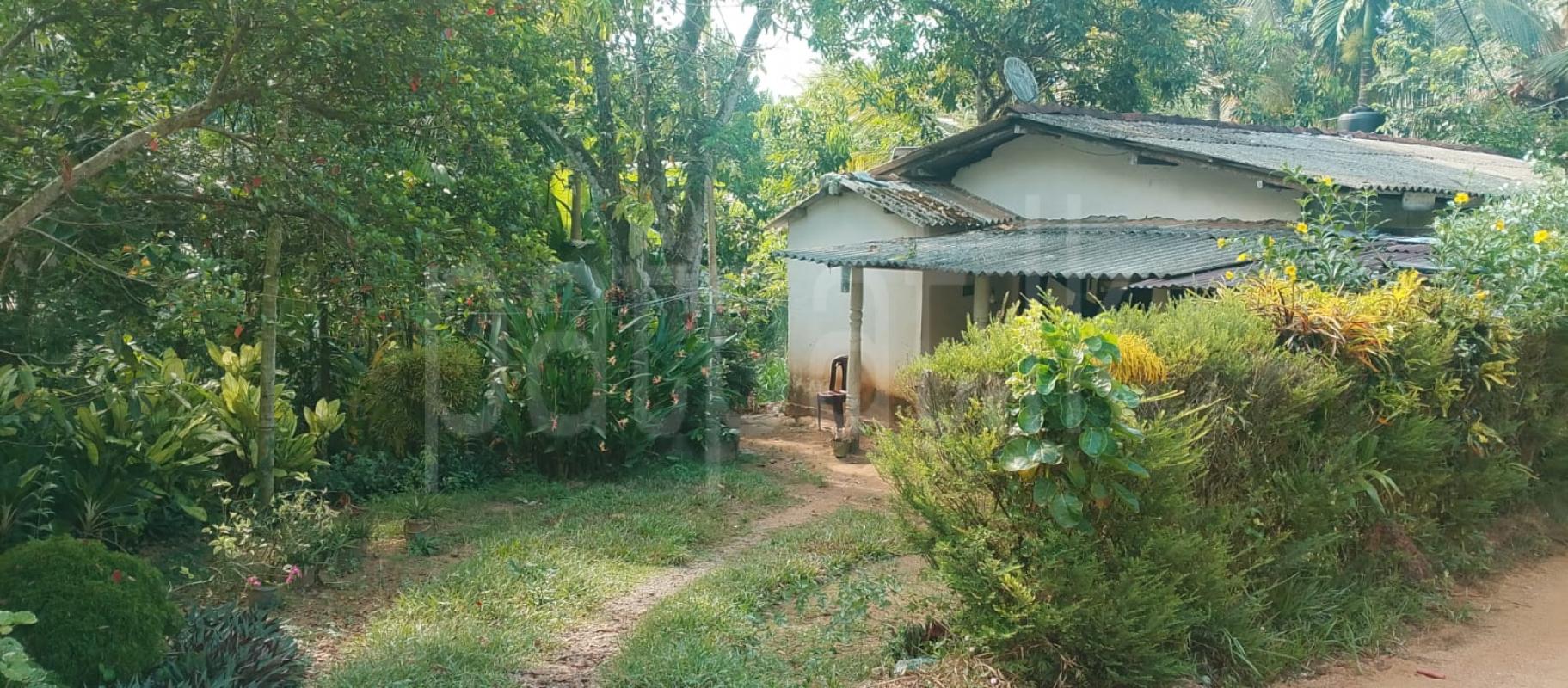 House for Sale in Homagama