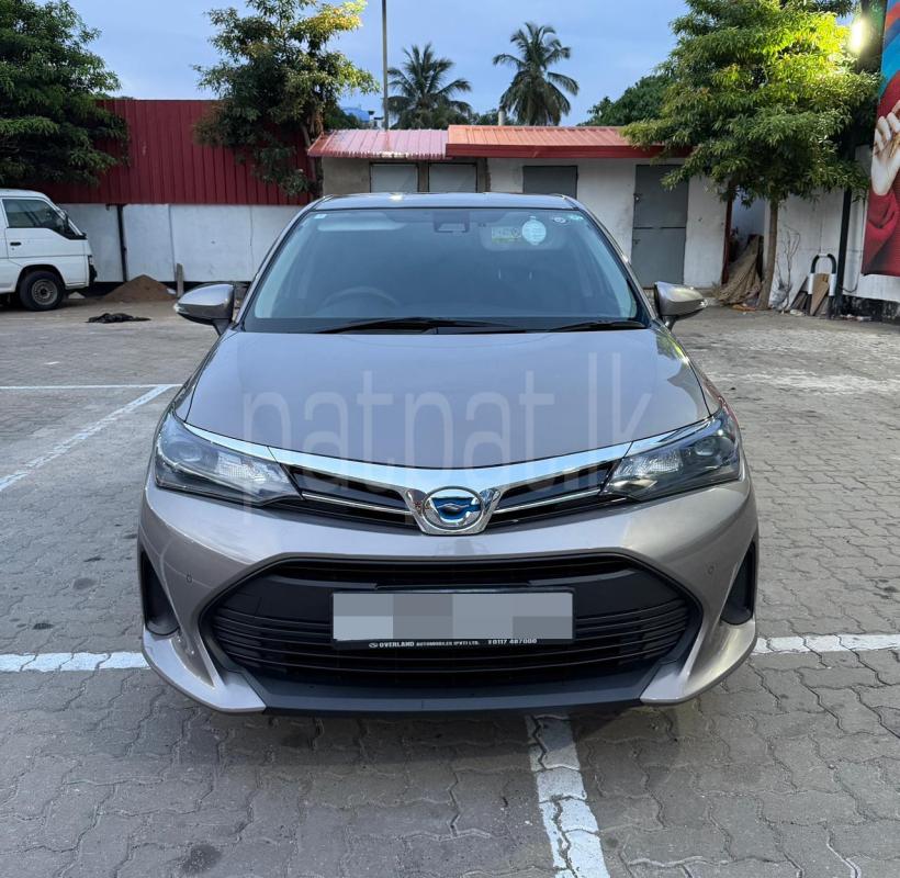 Toyota Axio 2024 - Used Car sale in Sri Lanka - patpat.lk