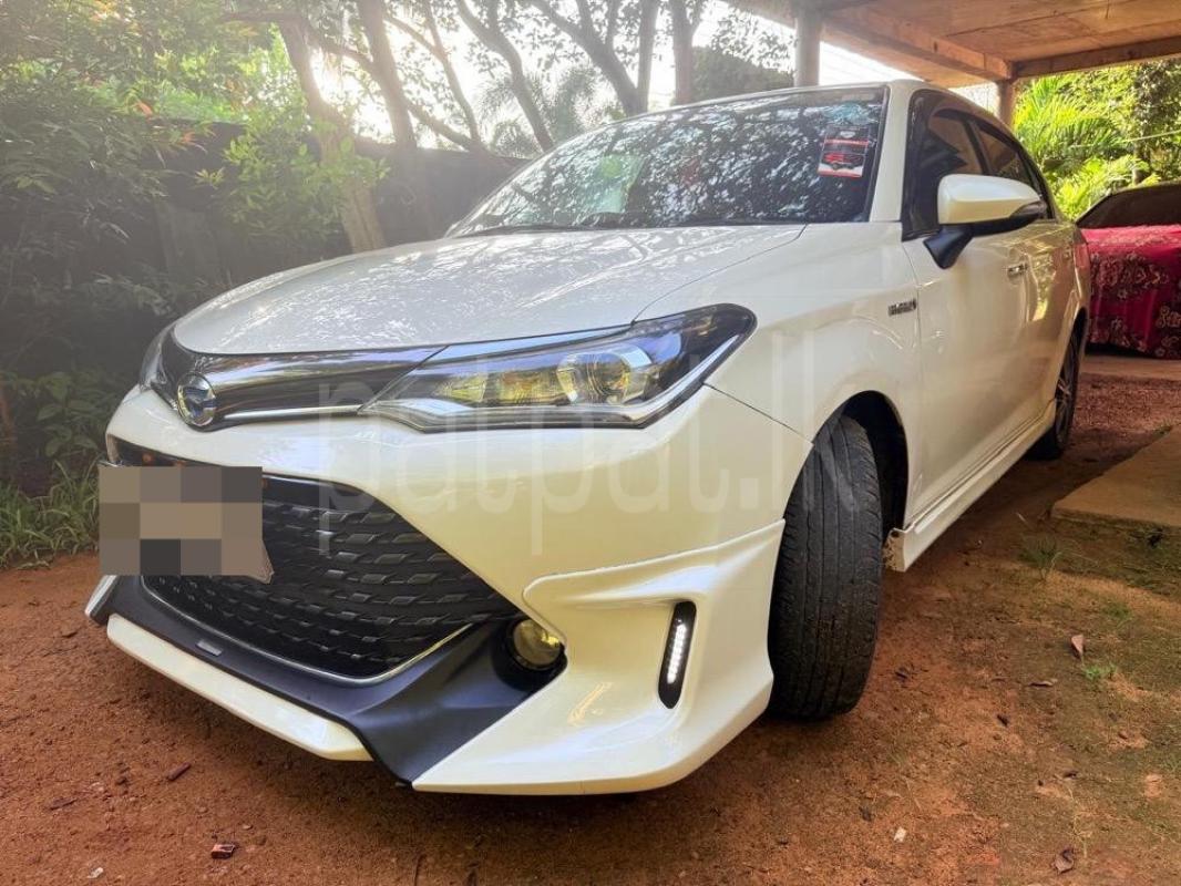 Advertisement image 2