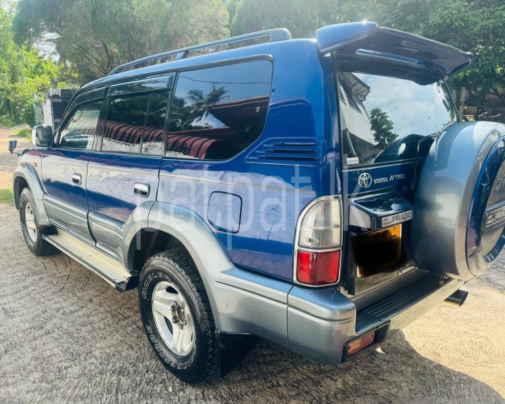 Advertisement image 5