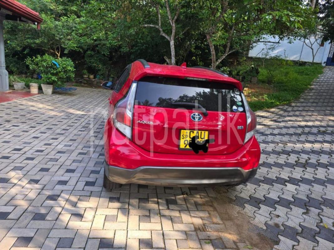 Advertisement image 5