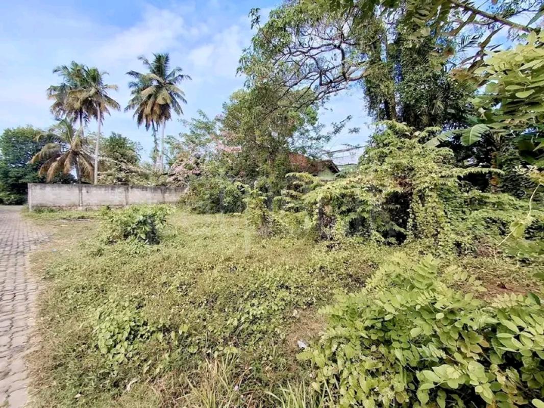 Commercial Land for Sale in Panadura