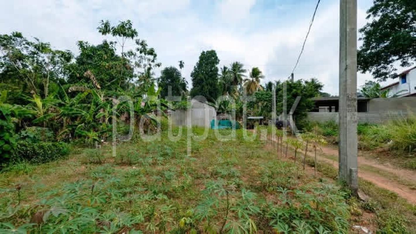Agricultural Land for Sale in Weboda
