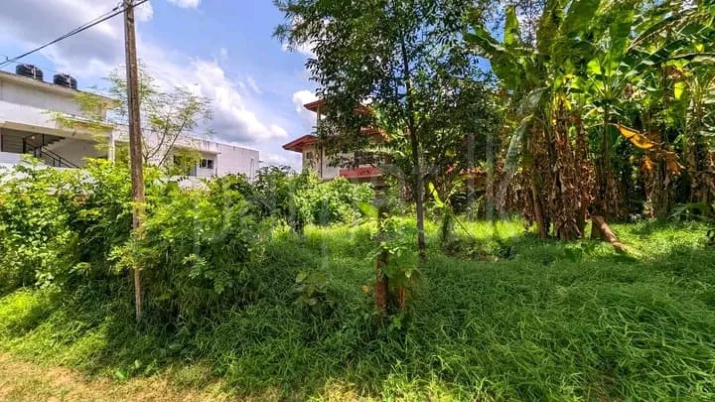 Commercial Land for Sale in Nittambuwa ads-image-1