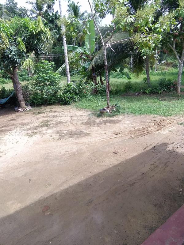 Commercial Land for Sale in Dehiwala ads-image-1