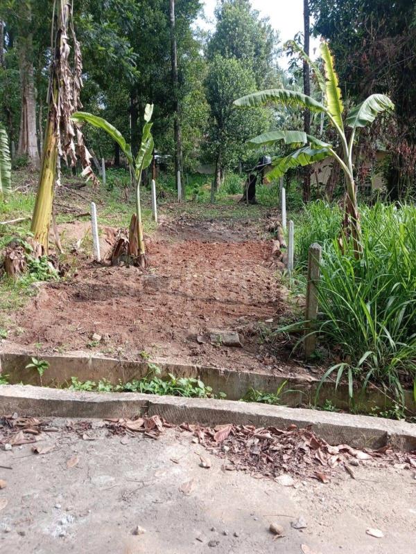 Residential Land for Sale in Kandy