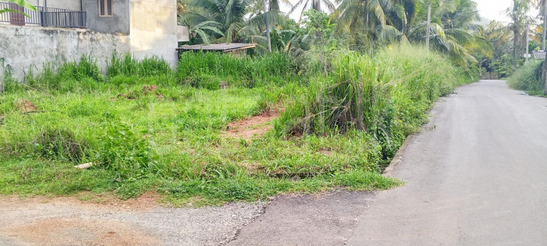 Residential Land for Sale in Kurunegala
