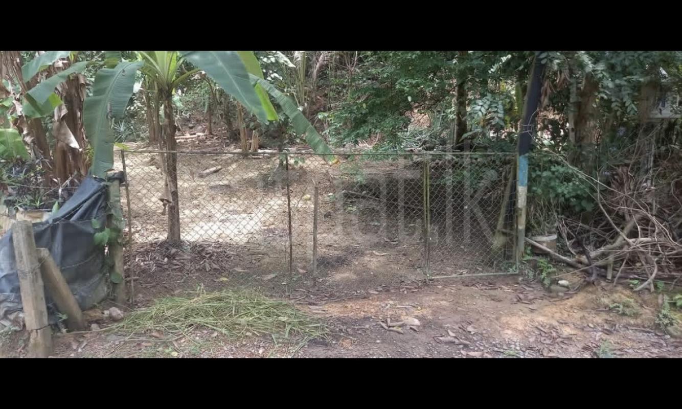 Agricultural Land for Sale in Wanchawela
