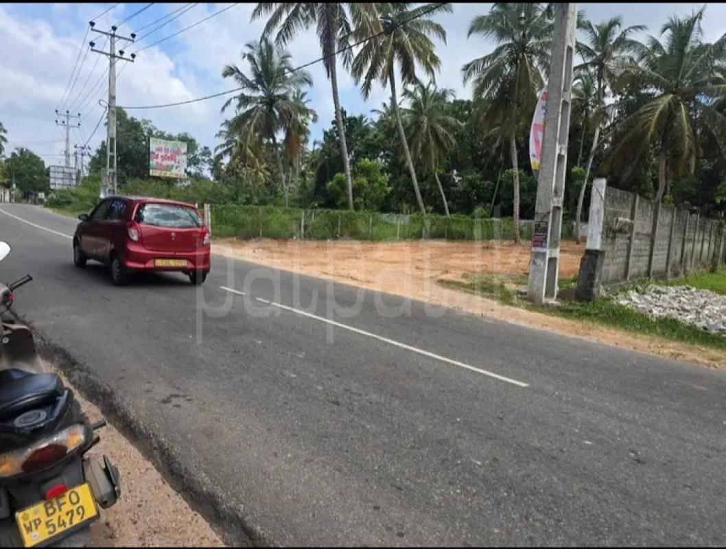 Commercial Land for Sale in Negombo