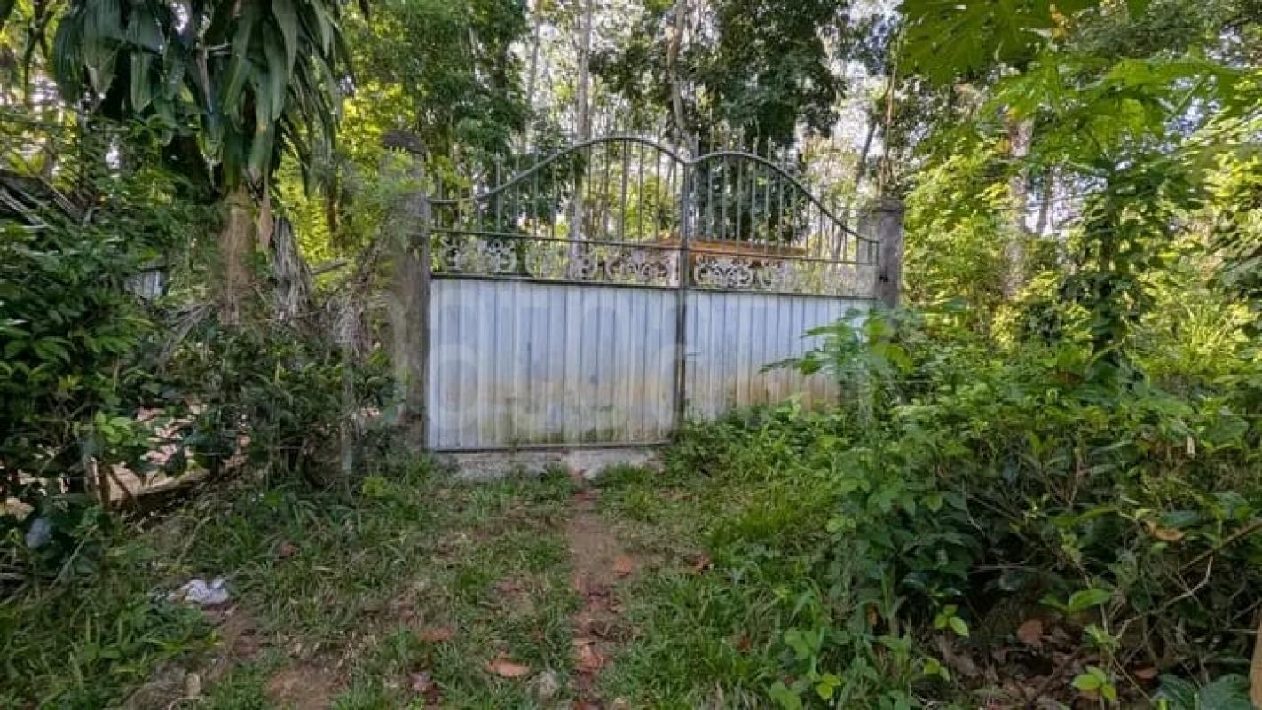 Commercial Land for Sale in Algama