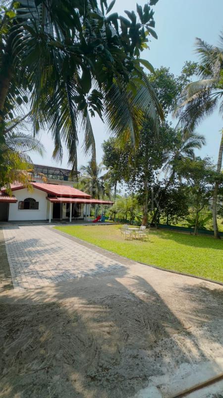 premium-listing-image