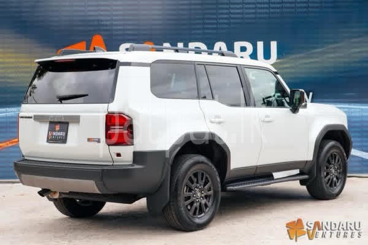 Advertisement image 4