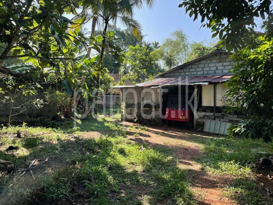 listing-image