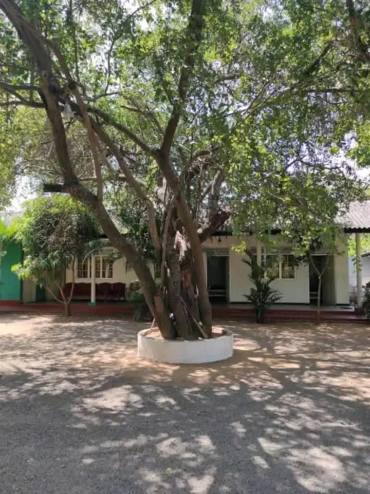 House for Sale in Kataragama