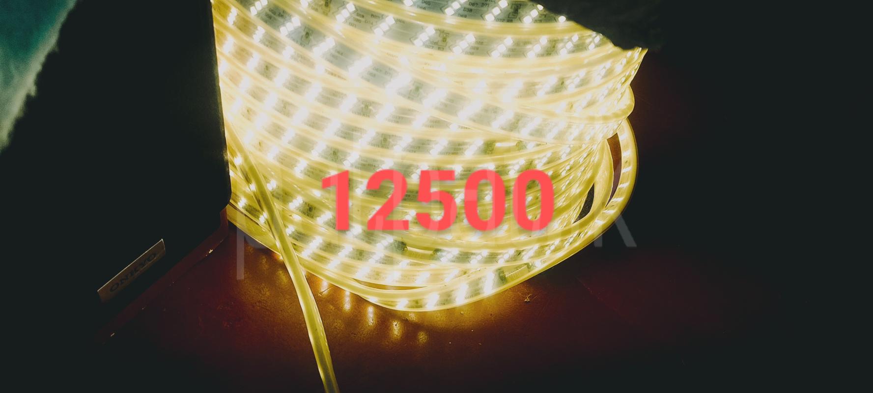 LED 100M ads-image-1