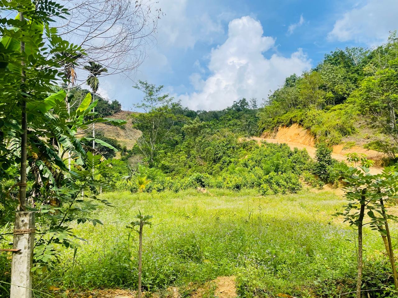 Residential Land for Sale in Makandura