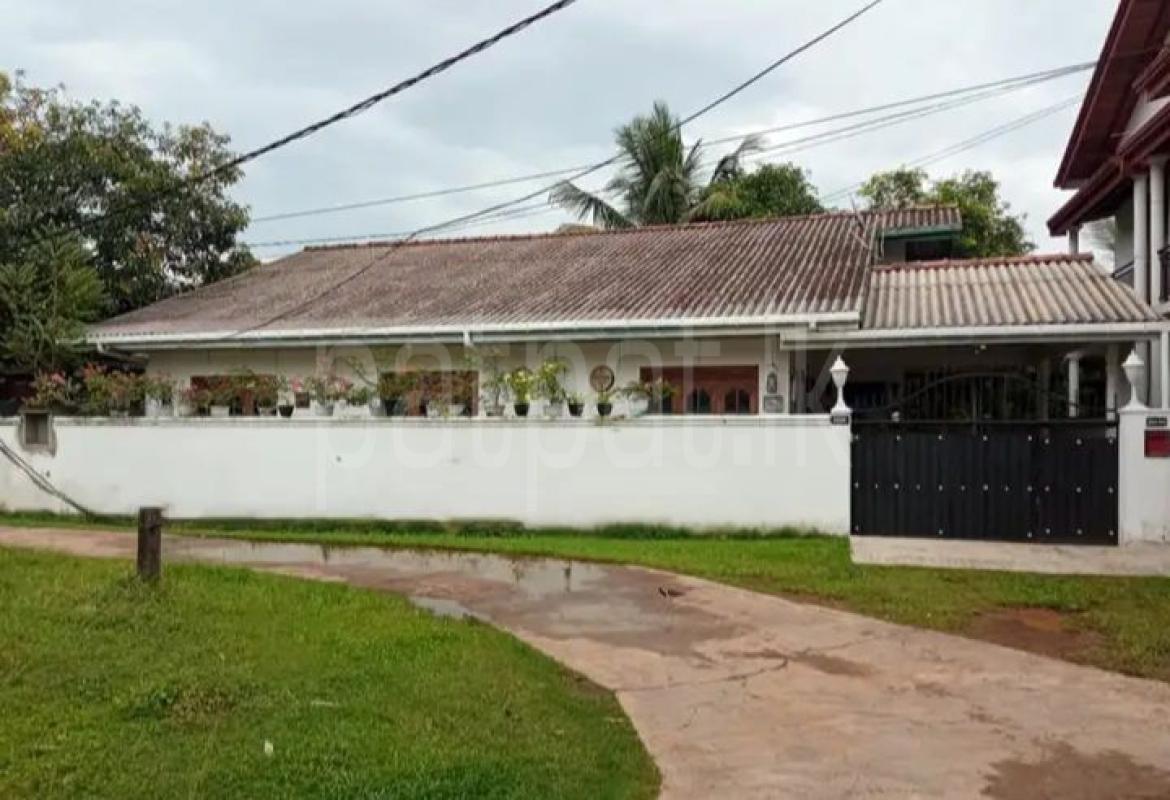 premium-listing-image