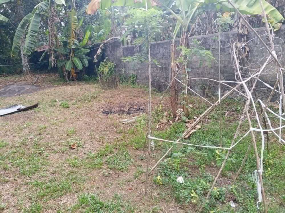 Residential Land for Sale in Bandaragama ads-image-1