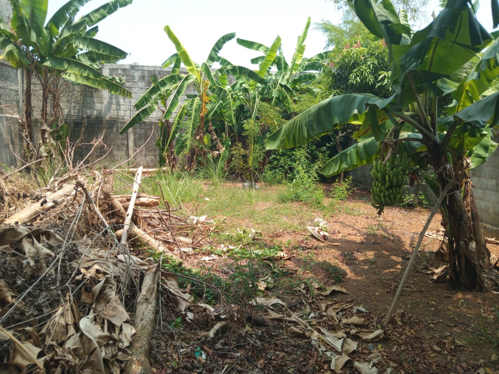 Residential Land for Sale in Mattakkuliya (Colombo 15)