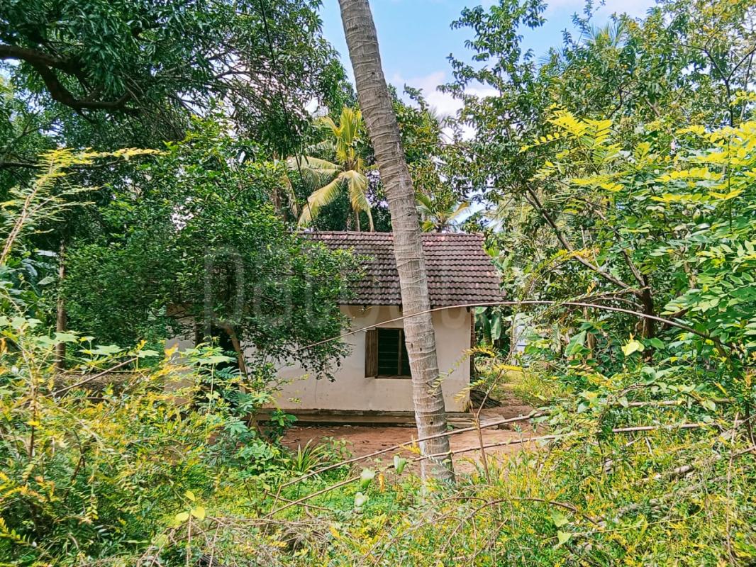 Residential Land for Sale in Bakamuna ads-image-1