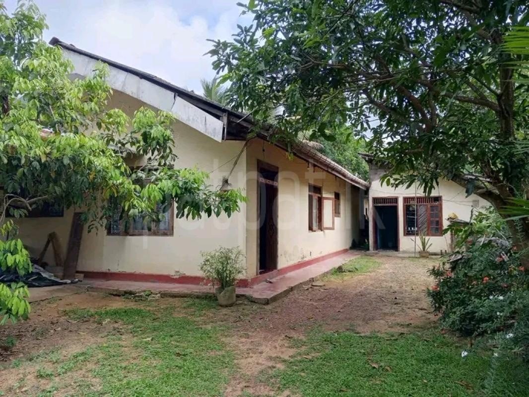 House for Sale in Piliyandala