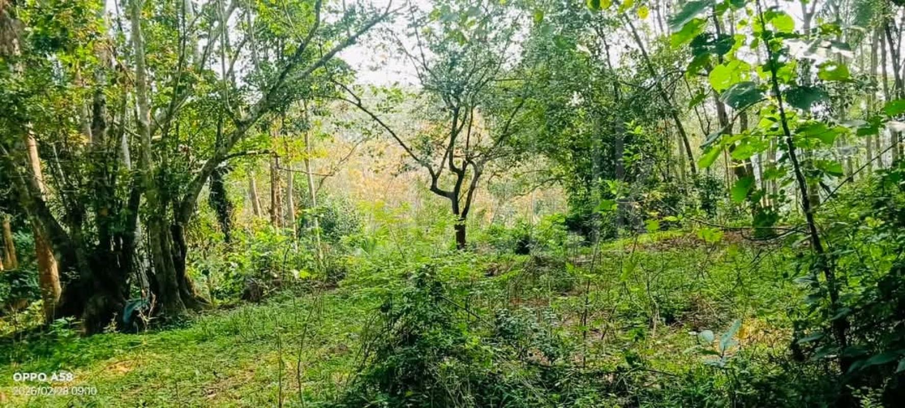 Residential Land for Sale in Unawatuna ads-image-1