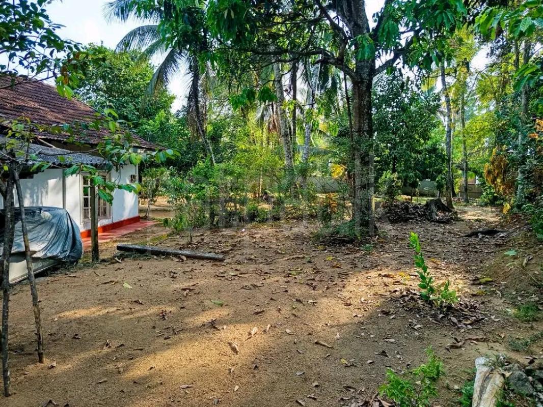 Agricultural Land for Sale in Piliyandala